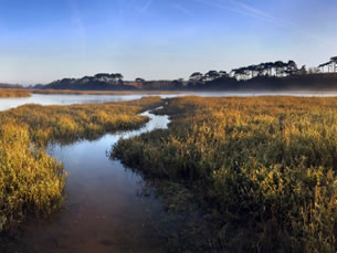 River estuary